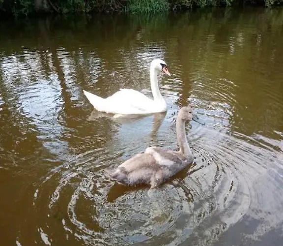 Cosy, Secluded Narrow Boat Botel *